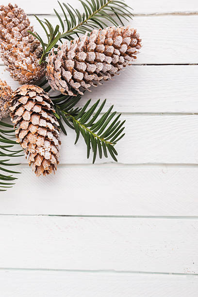 istock White wooden background with snow covered pinecones 637972096