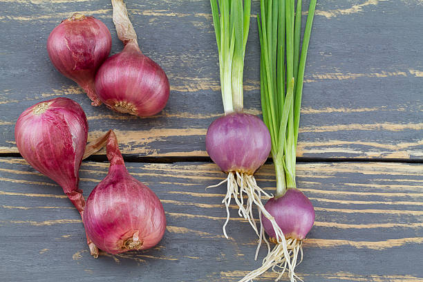 istock Dried and fresh red onions with root on wooden background 637972134