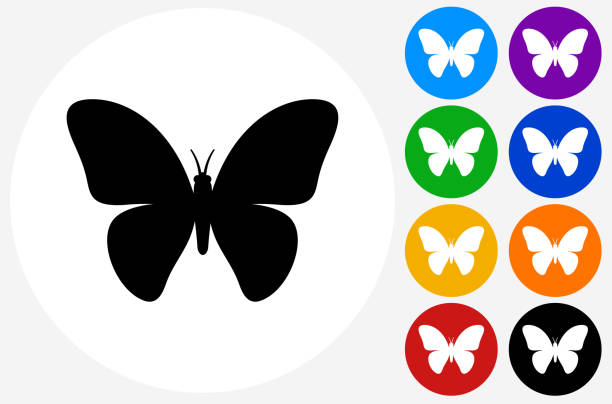 Butterfly Icon on Flat Color Circle Buttons Butterfly Icon on Flat Color Circle Buttons. This 100% royalty free vector illustration features the main icon pictured in black inside a white circle. The alternative color options in blue, green, yellow, red, purple, indigo, orange and black are on the right of the icon and are arranged in two vertical columns. butterfly purple blue isolated stock illustrations