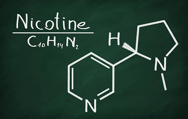 Structural model of Nicotine stock photo