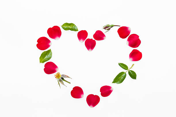 istock rose petals and leaves heart 637973756