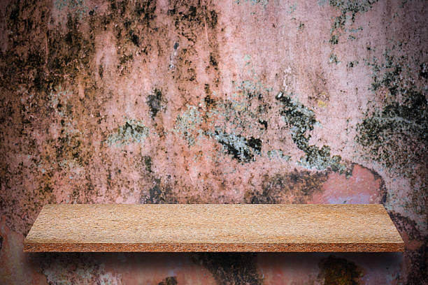 istock Empty top of natural stone shelves and stone wall 637974766