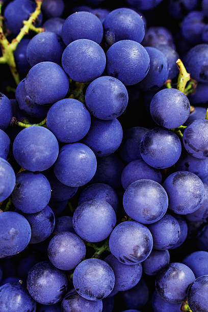 istock Red wine grapes macro. Dark blue wine grapes. 637980808