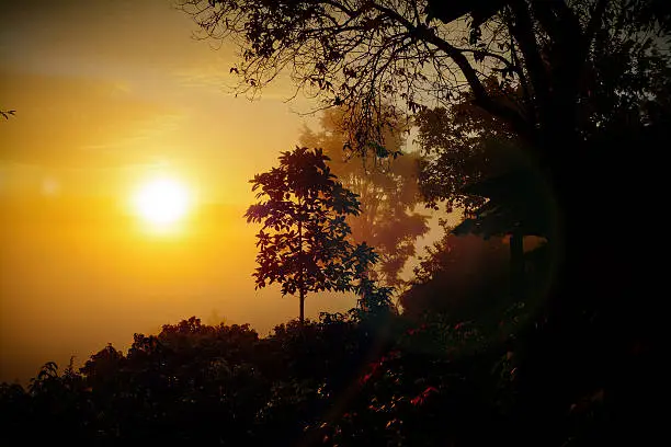 Photo of Mountain layer in morning sun ray and winter fog.Phu Lanka