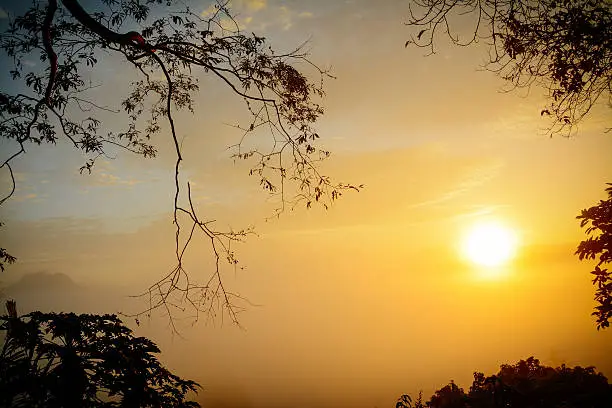 Photo of Mountain layer in morning sun ray and winter fog.Phu Lanka