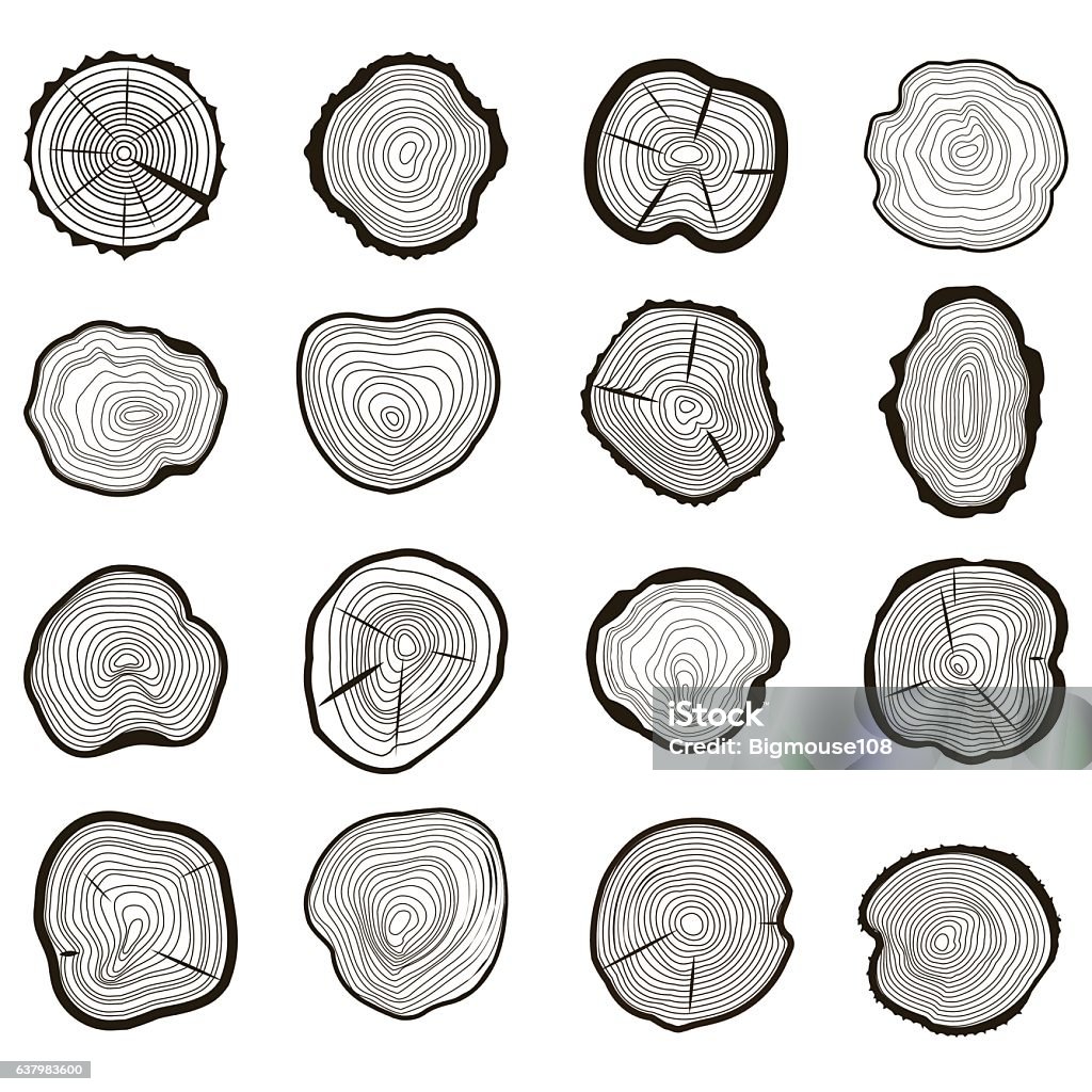 Tree Rings Set Saw Cut Trunk. Vector Tree Rings Set Saw Cut Trunk with Cracks and Black Lines Wooden Texture. Vector illustration Wood - Material stock vector