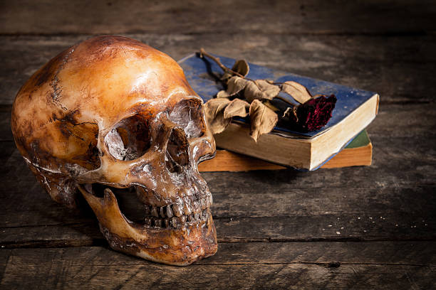 istock still life with human skull and roses dried and book 637986830