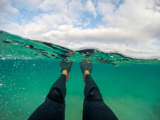 istock Enjoying swimming time in the ocean 637990930