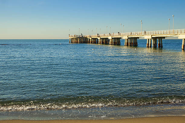 istock carrara marina pier view in versilia 637992408
