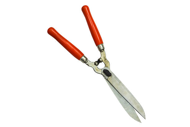 garden shears isolated on a white background image of garden shears isolated on a white background pruning shears stock pictures, royalty-free photos & images