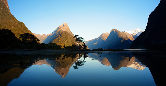 Dawn breaks over Milford Sound, on New Zealand's South Island. The rising sun illuminates this iconic Kiwi landscape, though the tree in the (relative) foreground is still in shadow and is silhouetted against the side of Mitre Peak. 