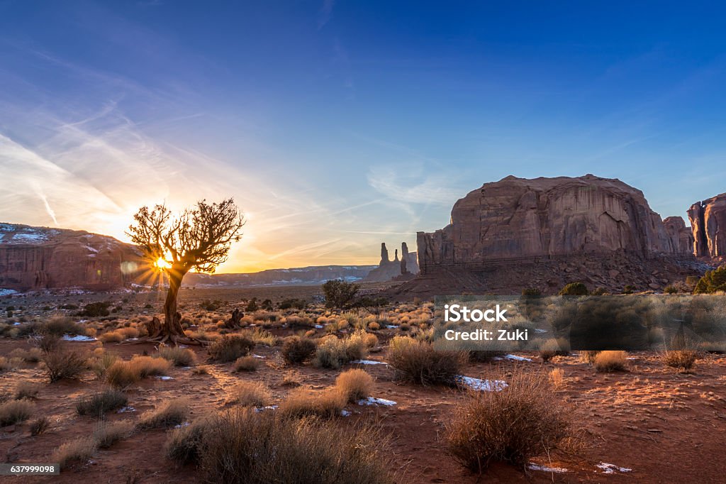 Monument Valley sunset Setting sun glowing through a barren tree in the lowlands of Monument valley, northern Arizona. Arizona Stock Photo