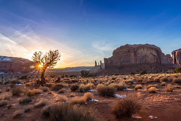 Monument Valley sunset Setting sun glowing through a barren tree in the lowlands of Monument valley, northern Arizona. mesa arizona stock pictures, royalty-free photos & images