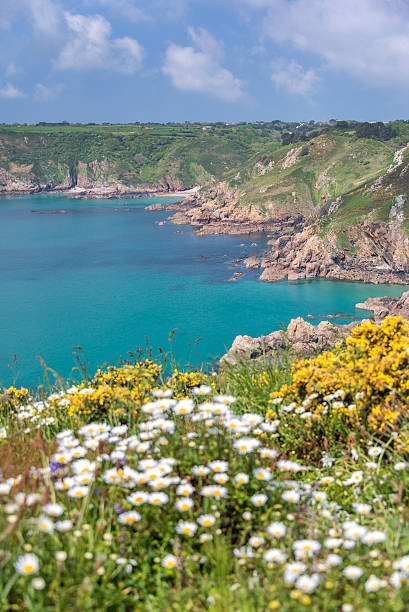 istock Icart point landscape, Guernsey 637999834