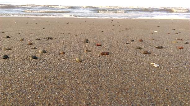 istock The landscape of the beach 638005954