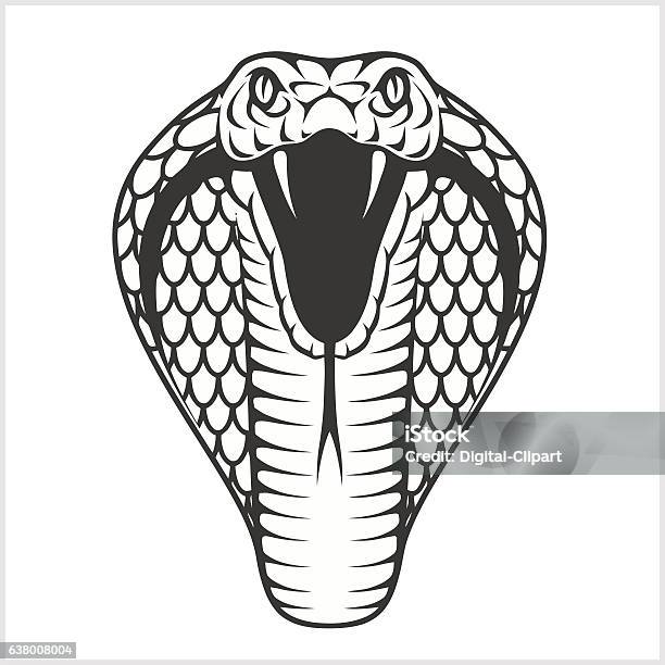 Ilustración de Cabeza De Cobra Ilustración En Blanco Y Negro y más Vectores  Libres de Derechos de Cobra - Cobra, Serpiente, Vector - iStock