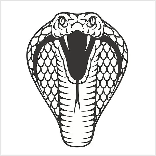 Vector illustration of Cobra head - black and white illustration