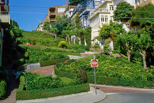 istock Lombard Street 638010164
