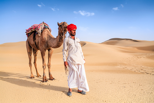 Indian man holding camel on sand dunes, Rajasthan, India