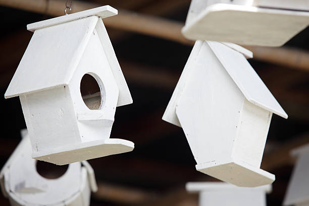 istock white wooden bird house as background. 638017534