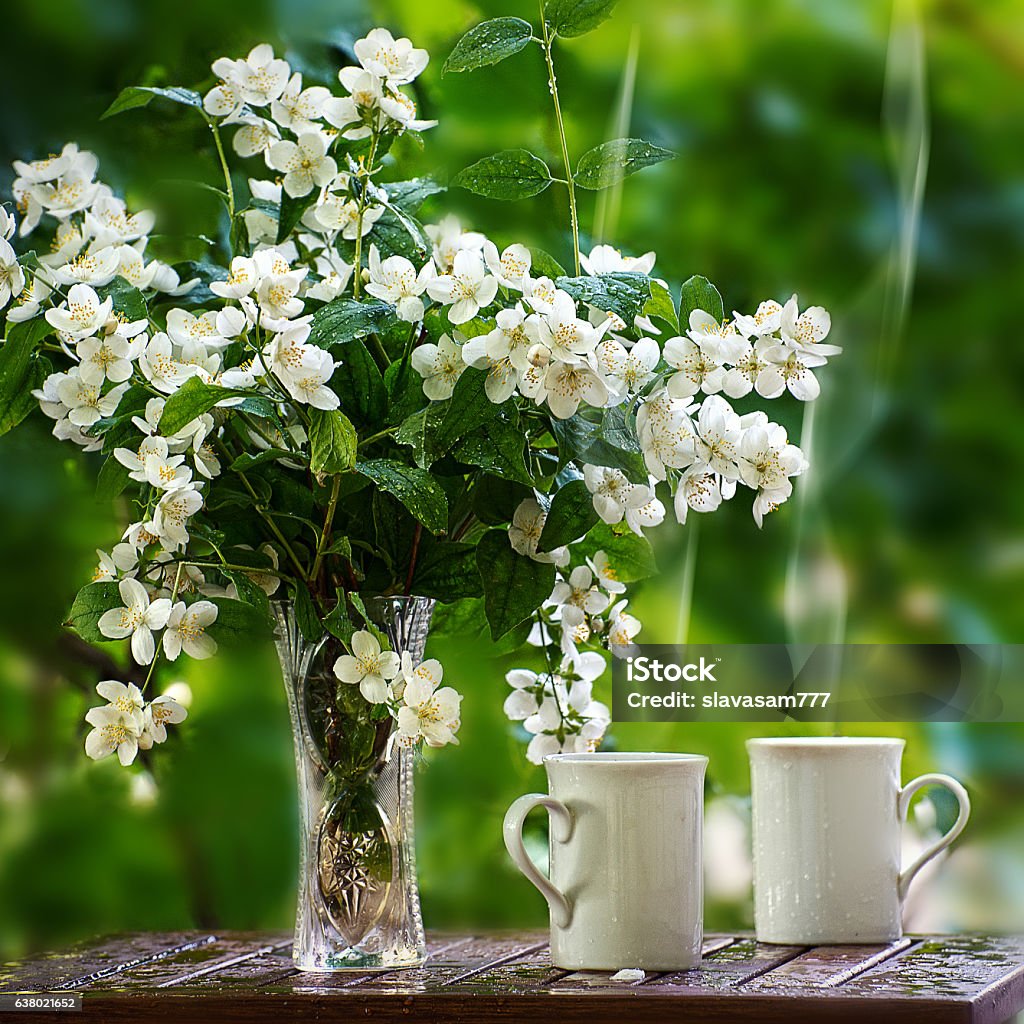 Té con el jazmín - Foto de stock de Jarrón libre de derechos