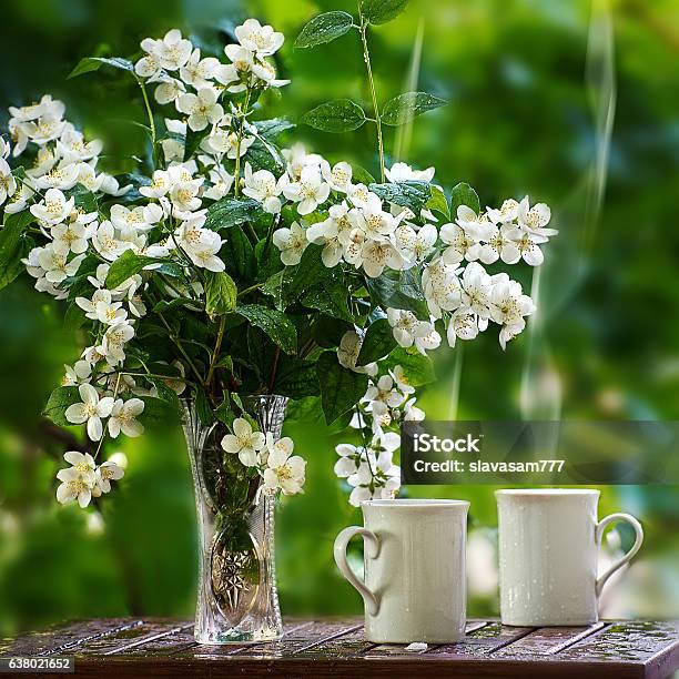 Tea With The Jasmine Stock Photo - Download Image Now - Jasmine, Vase, Bouquet