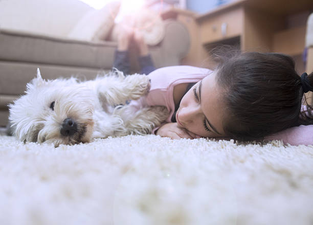 istock Girl and dog 638023810