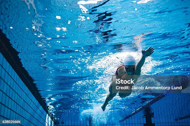 Fit Female Athlete Swimming In Pool Stock Photo - Download Image Now - Swimming, Swimming Pool, Women