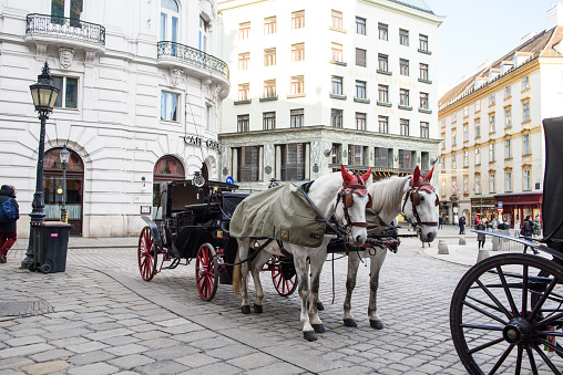 Vienna, Austria January 17, 2016. The crew pulled by horses waiting for tourists in the heart of Vienna