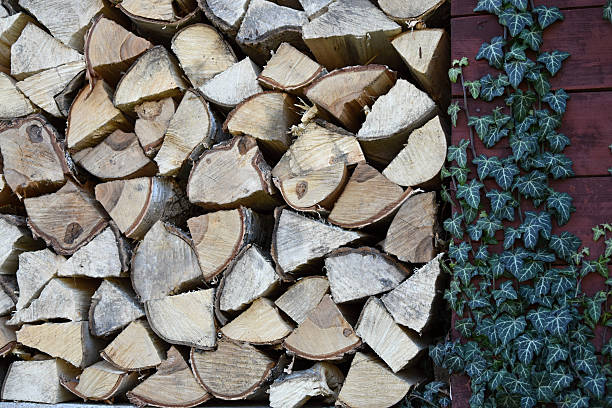 istock Leveled chipped wood in the woodshed 638029560