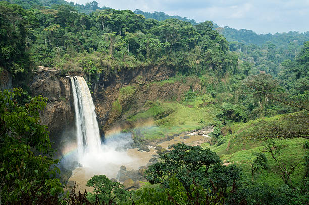 Ekom-Nkam Waterfalls in the rainforest, Melong, Cameroon, western Africa. This picture was taken during the dry season with less water flow, its a little touristic place in Cameroon but quite famous. landscape fog africa beauty in nature stock pictures, royalty-free photos & images