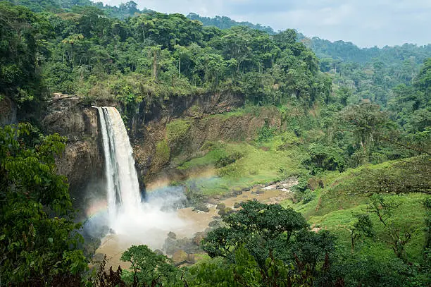 Photo of Ekom-Nkam Waterfalls in the rainforest, Melong, Cameroon, western Africa.
