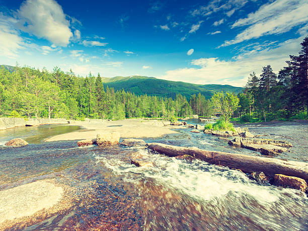 Beautiful view of norwegian mountain river in summer.