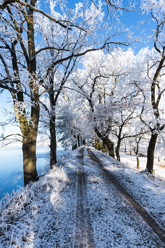 Vertical photo with winter scene landscape. Footpath covered by white snow and ice with frozen pond on one side and snowy meadow on another side. Trees are covered by frost.
