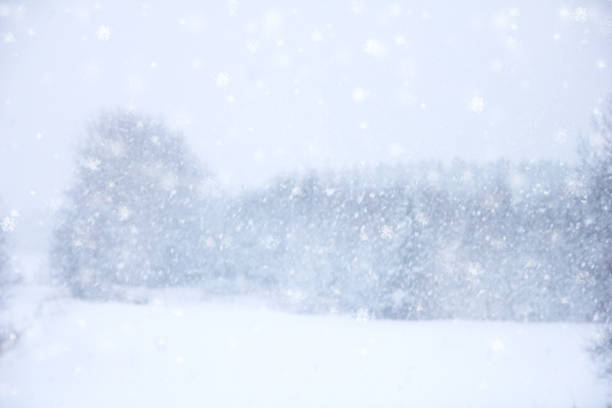 istock Beautiful defocused winter landscape with snow and falling snowflakes 638044406