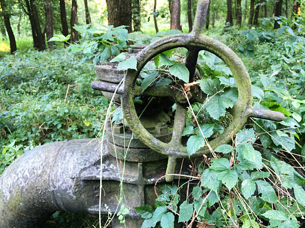 Old, rusty big cock valve in the forest