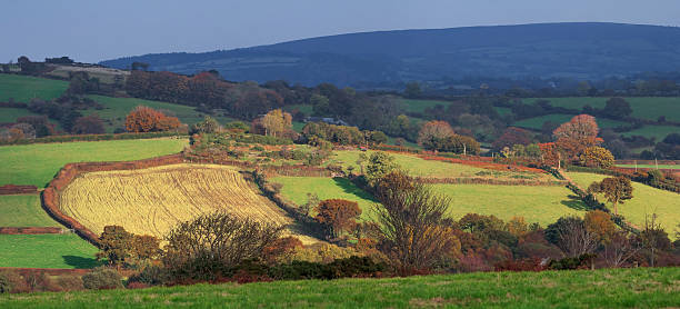 istock Farmland. Pastures on the hills 638047824