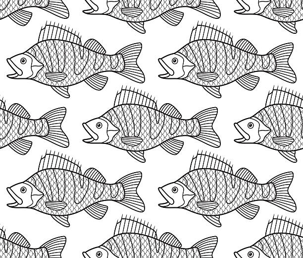 ilustrações de stock, clip art, desenhos animados e ícones de bass fish contour seamless pattern - wild striped bass