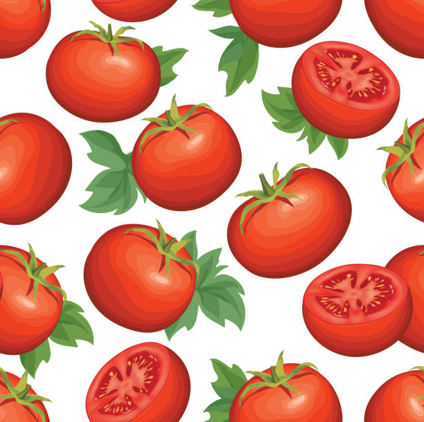 помидор на белом фоне. овощной бесшовный узор. осенний урожай - white background green pattern tomato stock illustrations