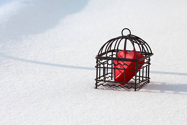 Heart in cage in the snow landscape view stock photo