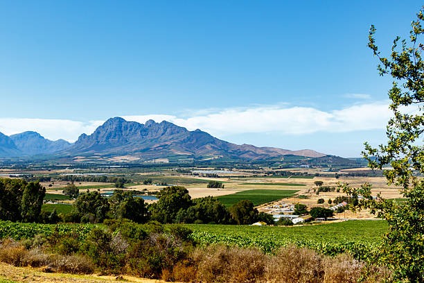 istock Green field Landscape with Mountains in the background 638053544