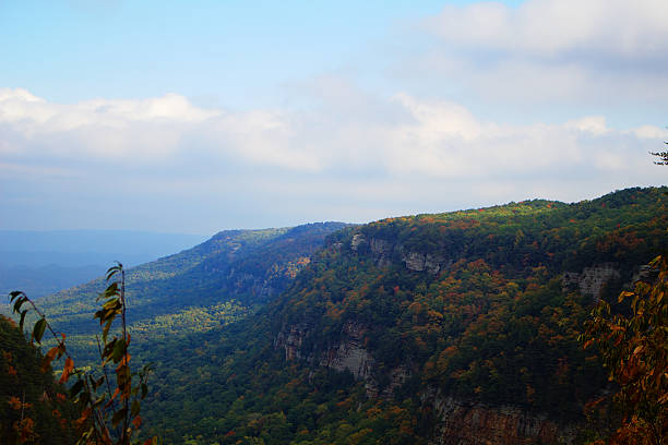 Cloudland Canyon Appalachian Trail Skyline Fall horizon of Couldland Canyon State Park, GA georgia us state photos stock pictures, royalty-free photos & images