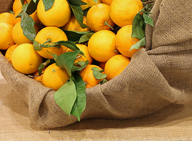 istock sack with natural oranges with green leaves 638055438