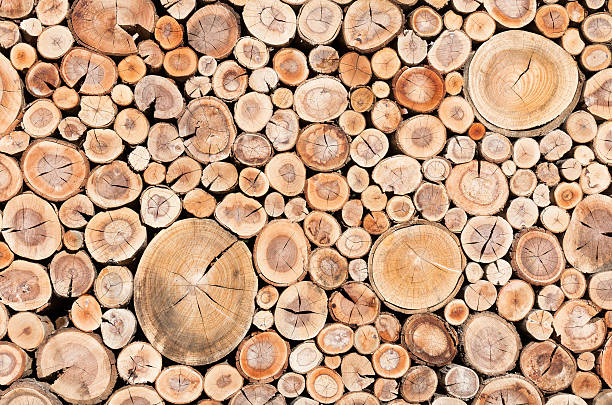 istock Cord Wood Fence 638055642