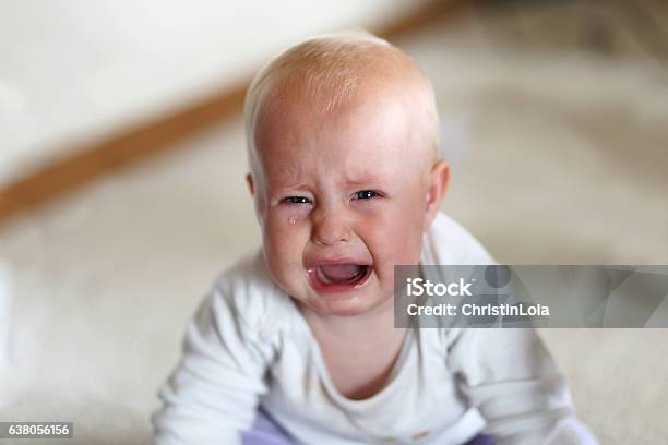 Crying 6 Month Old Baby Girl Stock Photo - Download Image Now - Baby - Human Age, Crying, Shouting