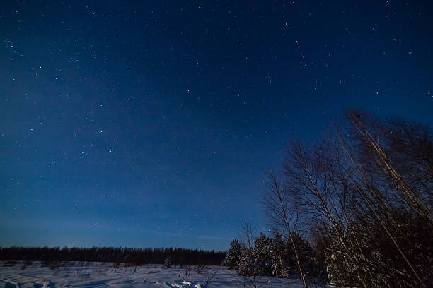 istock Winter night landscape with woods under starry sky 638056456