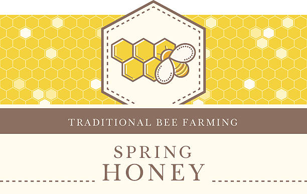 ilustrações, clipart, desenhos animados e ícones de modelo vetorial com padrão perfeito - coleção de mel natural - honey purity raw pollination