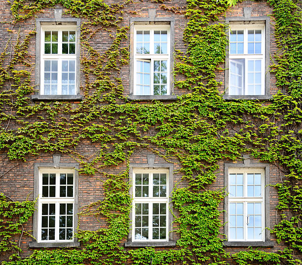 istock Exterior of the old house. Design in Architecture 638058588