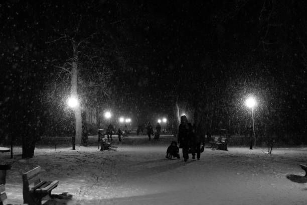 istock Winter park in the evening 638059260
