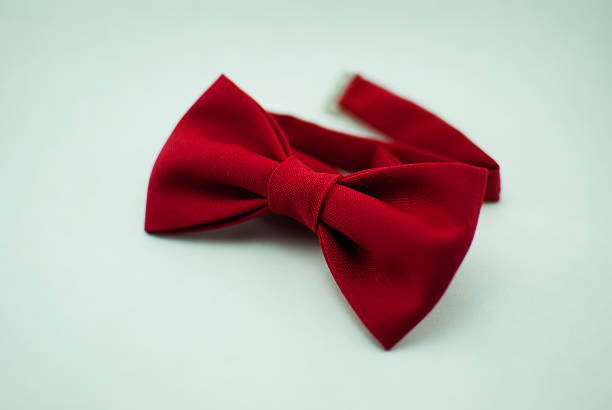 istock Trendy fashionable red bow tie; isolated 638064822